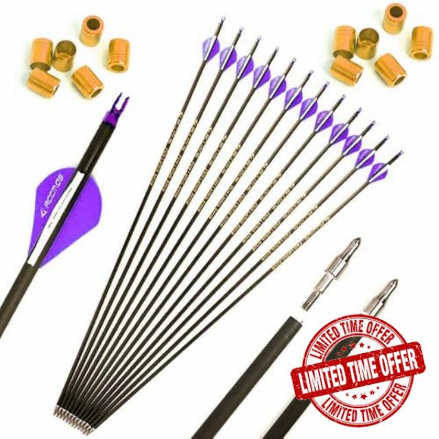 6/12pc Custom Length Carbon Arrows 300/350/400/500/600/700/800 Spine Removable Tips 2" Plastic Vane Targeting Hunting Arrow for Traditional Bow Long-Bow Recurve Bow Compound Bow Adult Youth Archery