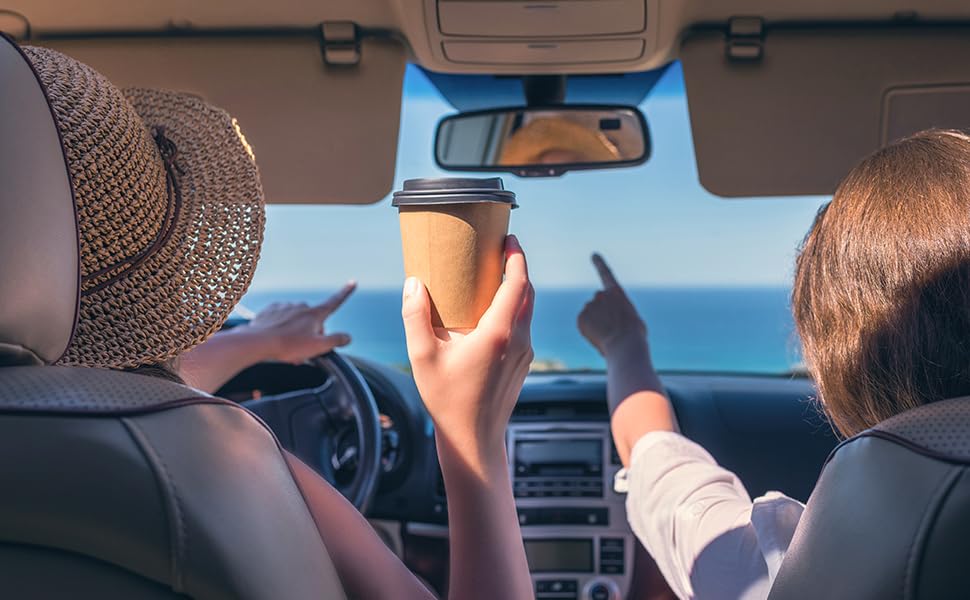 Interior view of car with two occupants. Passenger points at something outside while driver holds smartphone, showcasing distracted driving scenario.