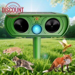 Cat Repellent Garden