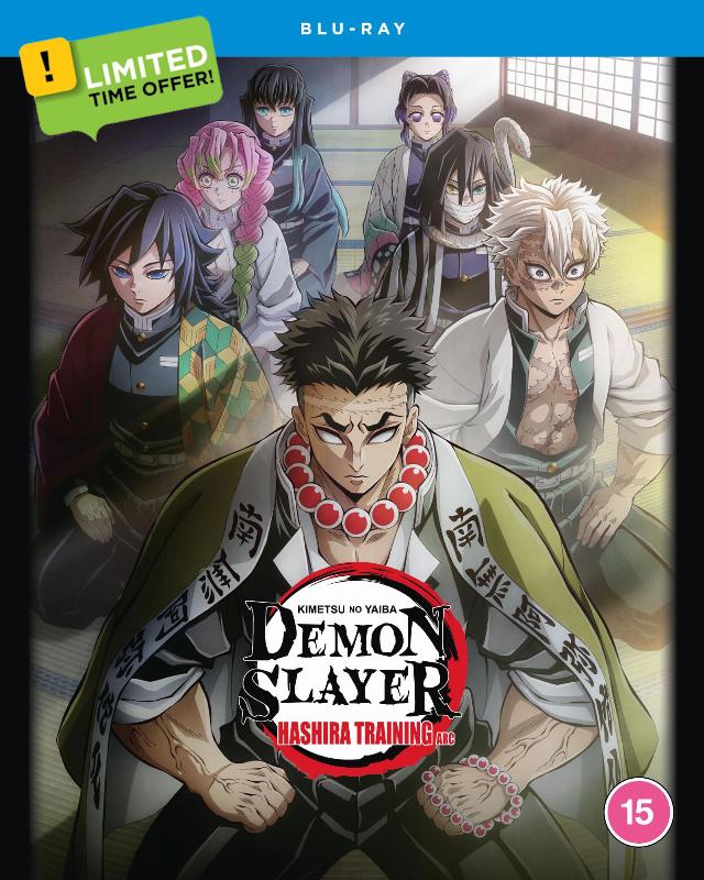 Demon Slayer: Kimetsu no Yaiba: Hashira Training Arc