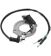 WOOSTAR 12 Coil 5 Wire Stator Magneto Replacement for Caravel Shark 250