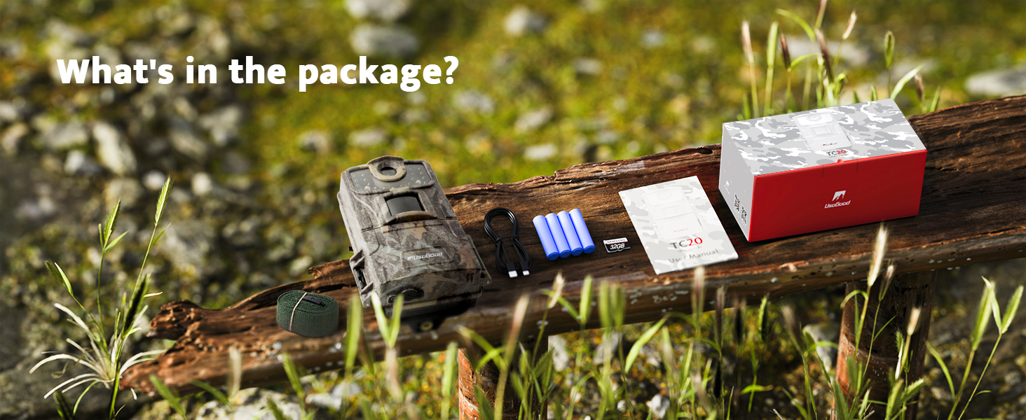 Pastoral landscape showing grazing horses in a green meadow with mountains and forest in the background.
