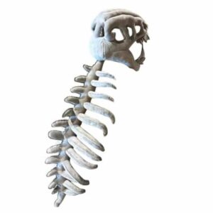 Dinosaur Skeleton Costume Plush Costumes - 75cm Realistic Dino Bone Cosplay Prop