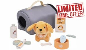 Kids Wooden Pet Care Play Set with Plush Dog