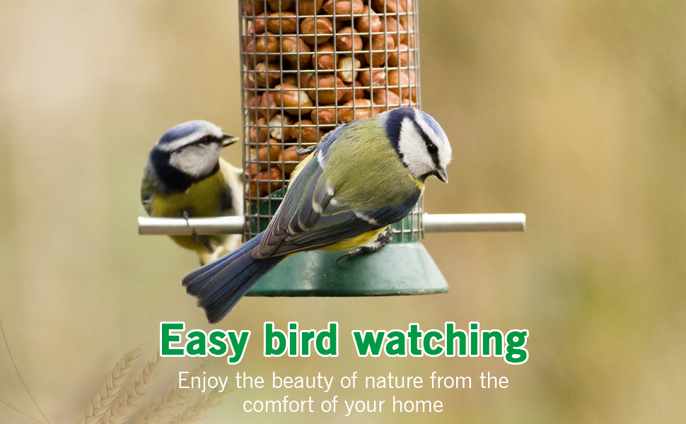 Text reads 'Easy bird watching' and 'Enjoy the beauty of nature from the comfort of your home'. Bird feeder or viewing setup shown against natural outdoor background.
