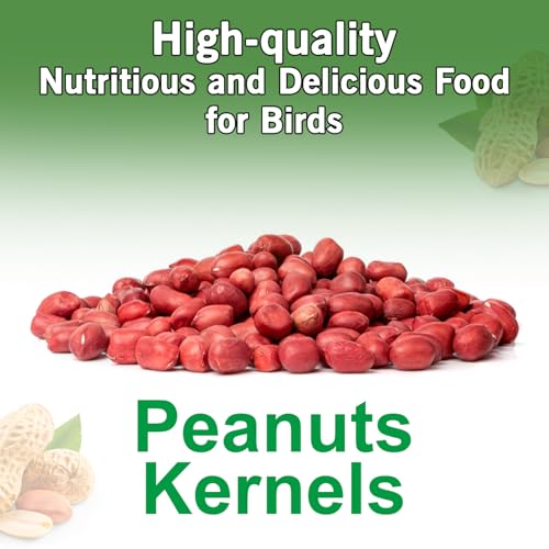 Tables & Ground Feeding