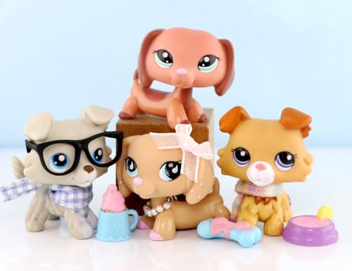 Birthday and Daily Life