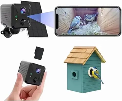App Control & 32GB SD Card – Solar Powered HD Live View for Birdhouses
