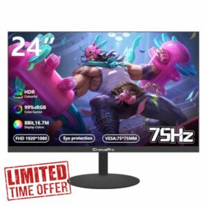 24 Inch FHD Monitor - 75Hz IPS Panel