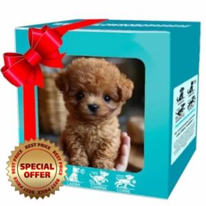 2026 Upgrade Robot Puppy Ai Robot Dog