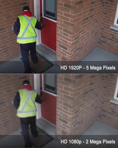 Human Face Vehicle Detection