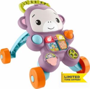 Fisher-Price Baby Push Toy Learn with Me Purple Monkey Walker Musical Learning Activity with Lights for Infants Ages 6+ Months