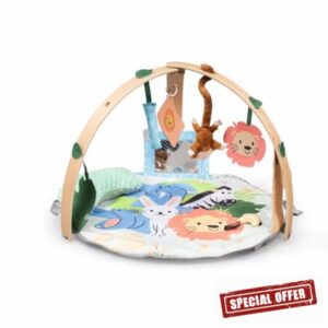 Bambino Premium Play Gym & Activity Mat Foldable Double Sided Wooden Arches Sensory Tummy Time Mat New Born to Toddle