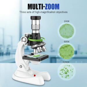 with LED Light 3D Slides