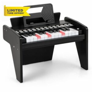 25 Key Kids Piano Keyboard