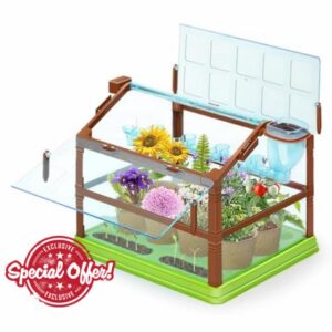 Kids Plant Growing Kit