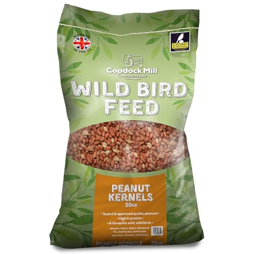 No Shell Wild Bird Food – Ideal for Feeders