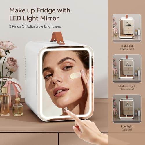 4L Small Car Fridge with LED Mirror