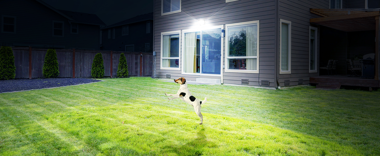 Illuminated backyard at night with bright floodlight from house window. Small dog visible on well-lit lawn area.