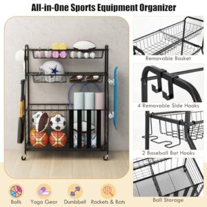 Ball Storage Rack with Wheels