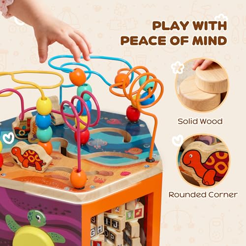 Early Educational Sensory Toys