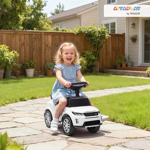 Foot to Floor Sliding Walker with Horn