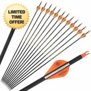 32" Archery Pure Carbon Arrows 300 350 400 500 600 Spine Hunting Arrows for Recurve Compound Bow Outdoor Hunting Target Shooting Archery Training (6/12pcs)