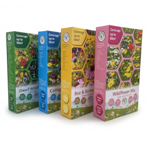 200m2 Coverage | Wildflower Seed Mix Attracts Bees and Butterflies UK Pollinators