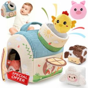 Baby Toys 6-12 Months