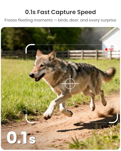 IP66 Outdoor Camera with 32GB Micro SD