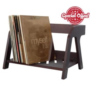 Vinyl Record Storage Holder