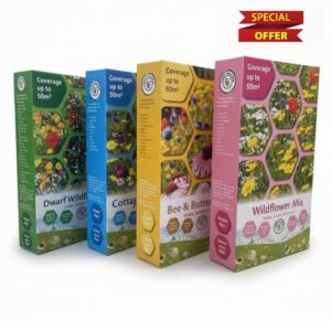 Wild Flower Seeds 4 Boxes Wildflower & Cottage Mix Scatter Boxes | 4x50m2 Box