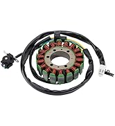 WOOSTAR 7 Coil 8 Wire Magneto Stator Replacement for 2003-2009 TT-R125E 2003-2008 TT-R125L 2014-2...
