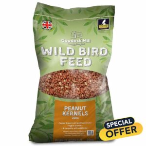 Peanuts for Wild Birds – Premium Peanut Kernels Bird Feed 20kg – High Energy