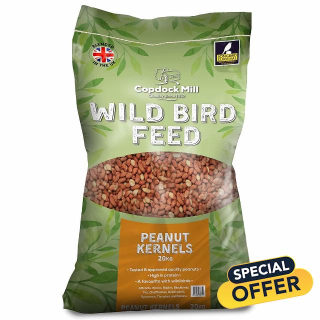 Peanuts for Wild Birds – Premium Peanut Kernels Bird Feed 20kg – High Energy