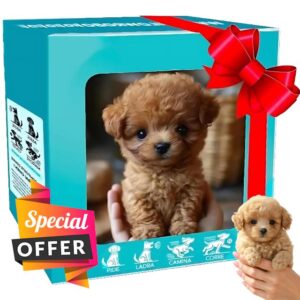 Smart Robot Dog - Realistic Robotic Puppy Toy with Walking