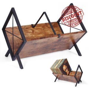 Vinyl Record Storage