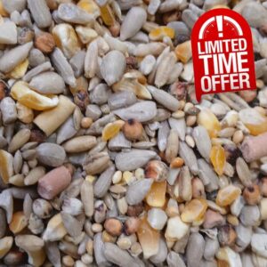 10 Kg Johnston & Jeff Premium Wild Bird Seed Wheat Free with Suet High Energy Mix for Garden Birds with Sunflower Hearts Peanuts Insects Berry Pellets for All Seasons Feeding