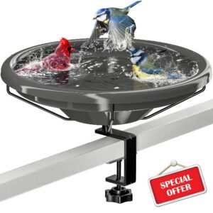 iBorn Bird Bath
