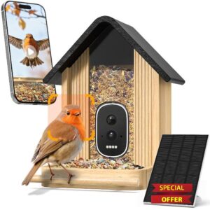 Bird Feeder with Camera