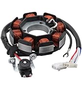 WOOSTAR 18 Coil 5 Wire Stator Magneto Replacement for GZ150 Motorcycle