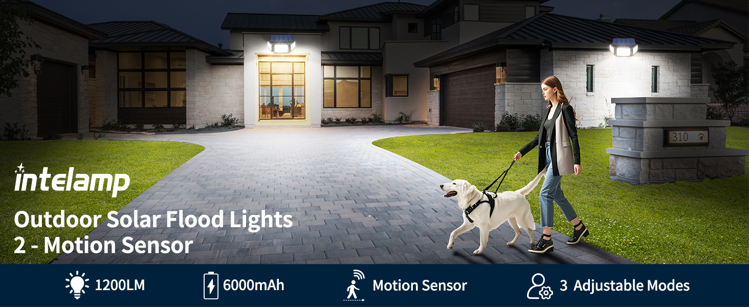 a person walking a dog in front of a house.