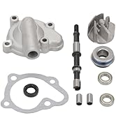 WOOSTAR PZ19 Carburetor with Fuel Filter Hose Line Gaskets Replacement for Taotao GY6 50cc 70cc 9...
