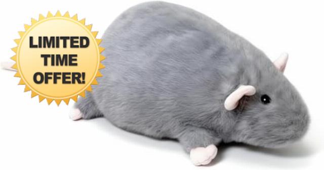 Chonky Rat Plushie