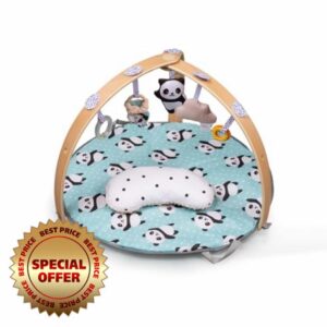 Bambino Foldable Reversible Play Mat Gym Mat Wooden Arches Detachable Cover for Newborn Babies & Toddlers