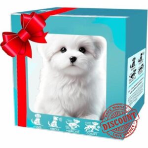 Robot Dog for Adults