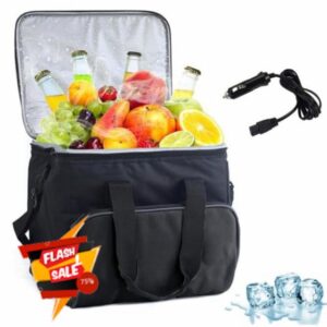 Portable Electric Cooler Bag 15L