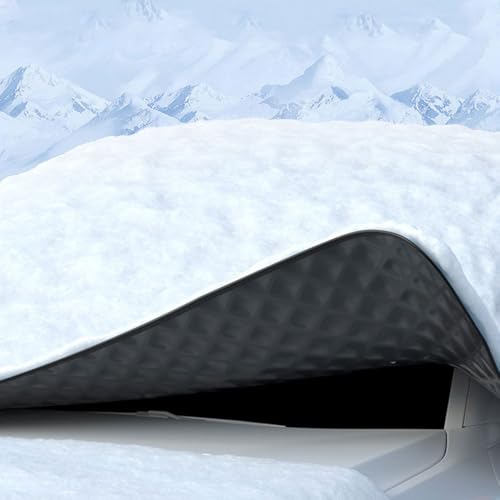 Seasons Windshield Protector