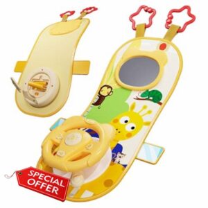 Rear Facing Car Seat Toys