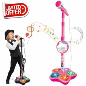 The All-in-One Microphone Toy